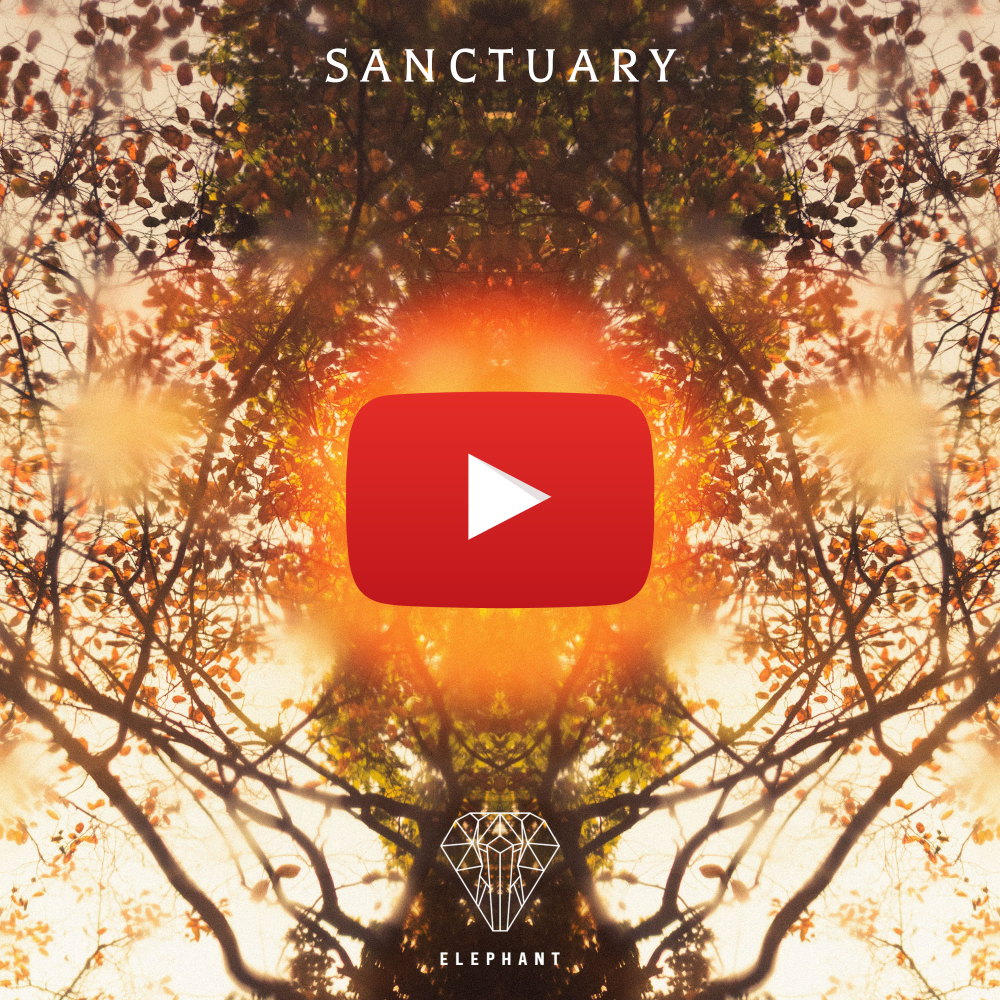 Cover of the Elephant Music album Sanctuary: mirrored autumn trees with a YouTube play button