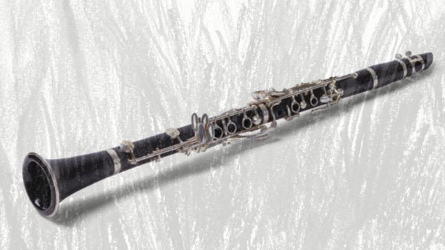 Single reed on sale woodwind instruments