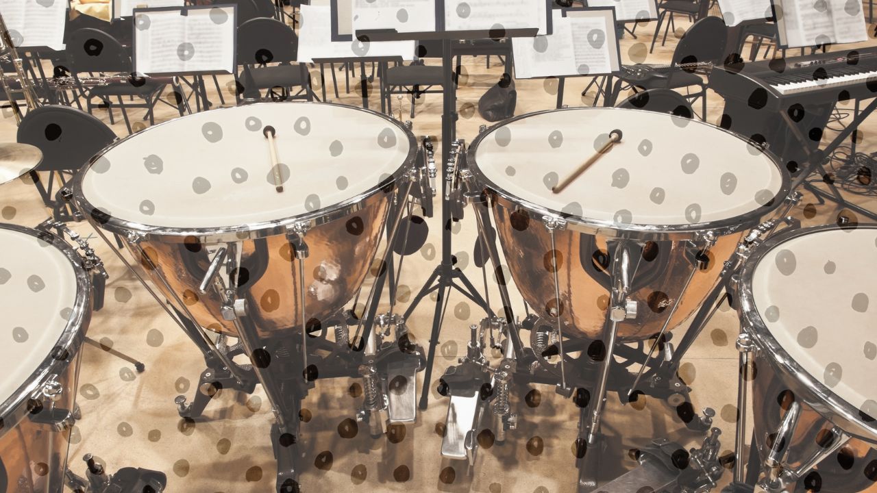 The Percussion Family - The Timpani